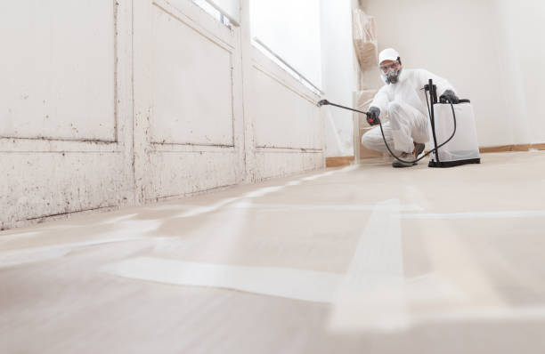 24/7 Emergency Mold Remediation experts in Williamston, MI