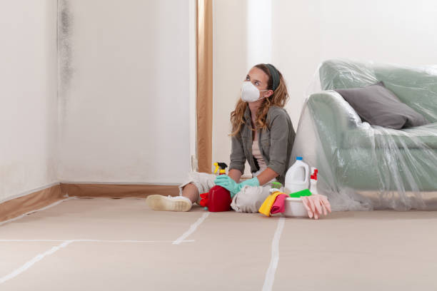 Reliable Mold Remediation contractor in Williamston, MI by Mold Remediation HQ